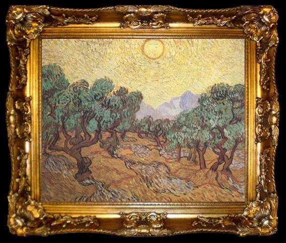 framed  Vincent Van Gogh Olive Trees with Yellow Sky and Sun (nn04), ta009-2